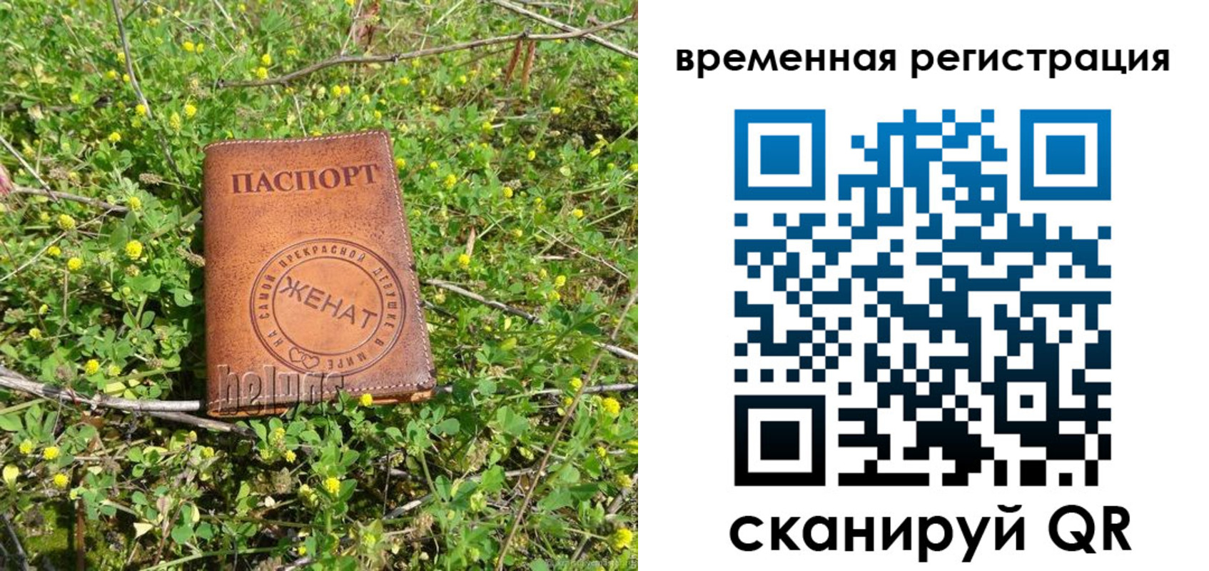 прописка регистрация в Мурино